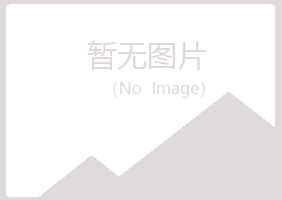 鹤岗东山宿命能源有限公司